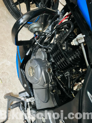 Pulser DD 2020 Model